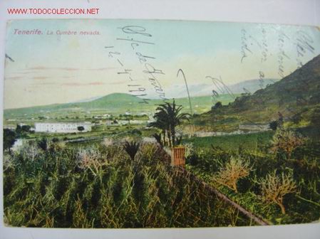 Postales: TENERIFE La Cumbre nevada - Foto 1