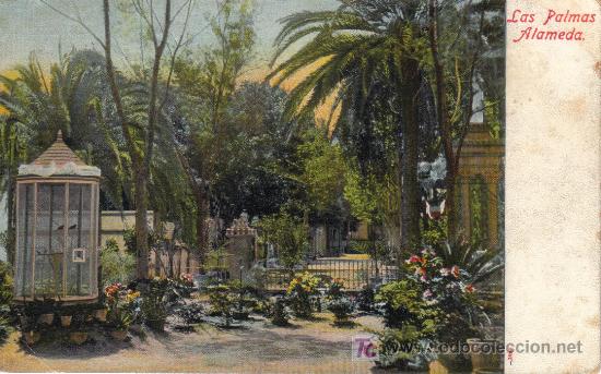 Postales: LAS PALMAS - ALAMEDA.- - Foto 1