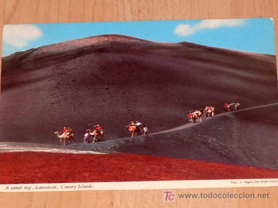 Postales: POSTAL ANTIGUA DE LANZAROTE. CARAVANA DE CAMELLOS