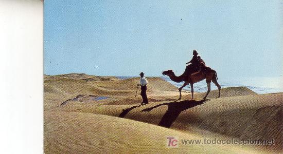 Postales: Postal de Gran Canaria. Maspalomas, playa.