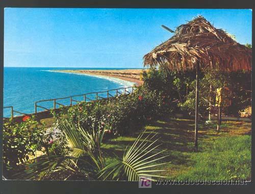 Postales: Playa del Ingles / Vista parcial / Impresa en 1974