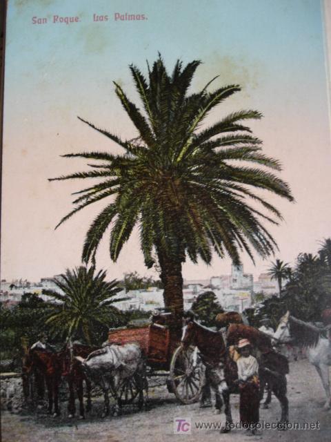 Postales: SAN ROQUE ,LAS PALMAS - Foto 1