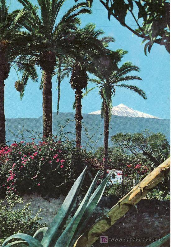 Postales: EL VOLCAN VISTO DESDE PUERTO DE LA CRUZ. TENERIFE.NO CIRCULADA.