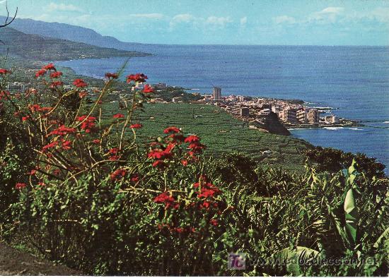Postales: PAISAJE Y PUERTO DE LA CRUZ. TENERIFE.NO CIRCULADA.