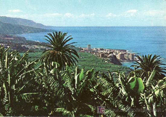 Postales: PUERTO DE LA CRUZ. TENERIFE.NO CIRCULADA.