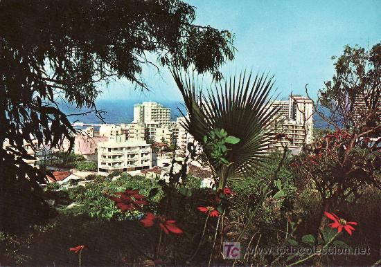 Postales: VISTA PARCIAL. PUERTO DE LA CRUZ. TENERIFE.NO CIRCULADA.