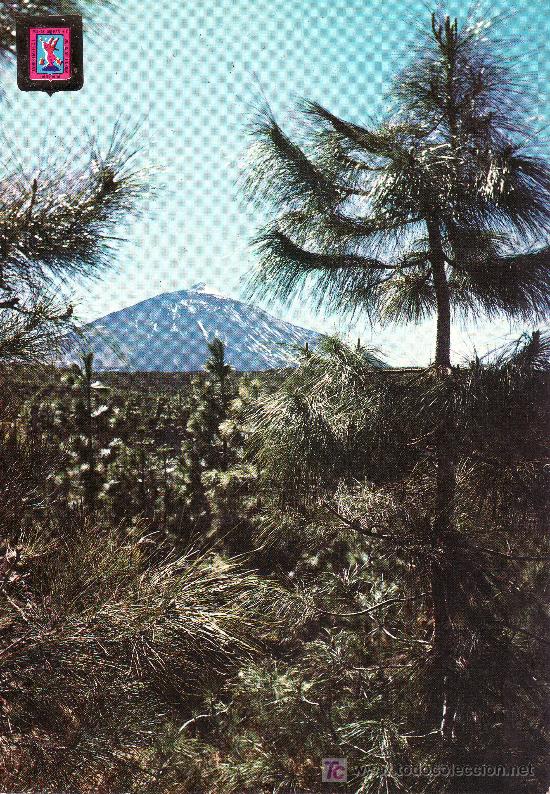 Postales: EL TEIDE.POSTAL DE TENERIFE. NO CIRCULADA. - Foto 1