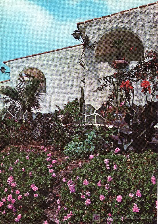 Postales: RINCON TIPICO.  POSTAL DE TENERIFE.NO CIRCULADA.