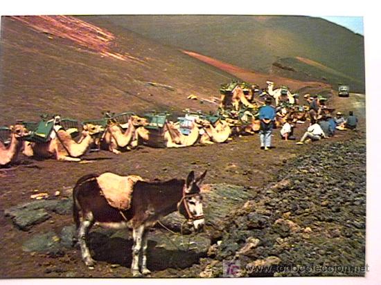 Postales: POSTAL DE LANZAROTE  DE LOS A&Ntilde;OS 80 - Foto 1