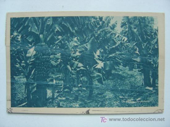 Postales: LAS PALMAS - Foto 1