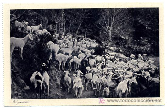 Postales: EL GANADO,                 P23915 - Foto 1