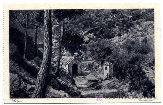 Postales: BOSQUE,                 P23916 - Foto 1