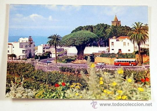 Postales: 2952-ICOD.TENERIFE.DRAGO Y VISTA PARCIAL.No circulada.