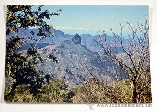 Postales: 512-ROQUE BENTAYGA.GRAN CANARIA.No circulada.