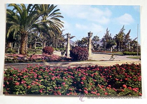 Postales: 1147-GRAN CANARIA.PAISAJE TIPICO.No circulada.