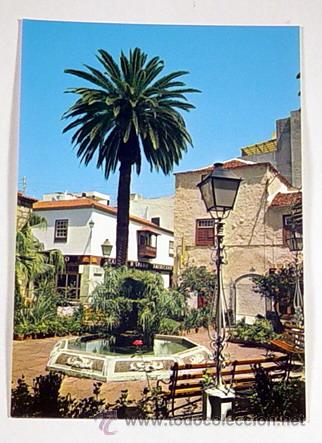 Postales: 76-PUERTO DE LA CRUZ.RINCON TIPICO.No circulada.