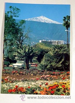 Postales: 101-PUERTO DE LA CRUZ.TENERIFE.PAISAJE CON EL TEIDE.No circulada.
