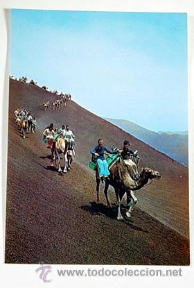 Postales: 5090-LANZAROTE.MONTA&Ntilde;A DE FUEGO.CARAVANA DE CAMELLOS.No circulada.
