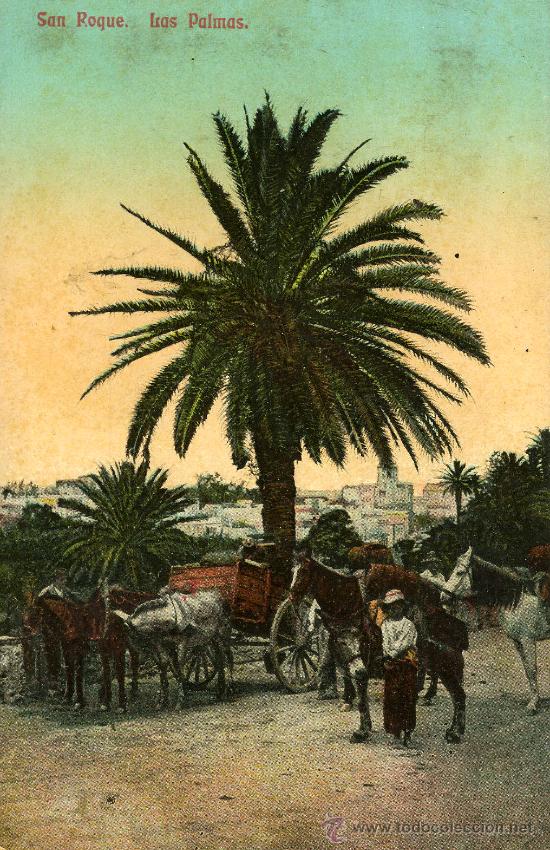Postales: LAS PALMAS. SAN ROQUE. - Foto 1