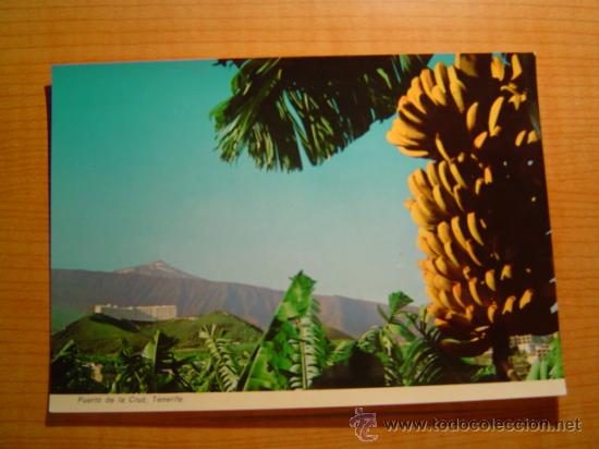 Postales: POSTAL ISLAS CANARIAS TENERIFE  SIN CIRCULAR - Foto 1