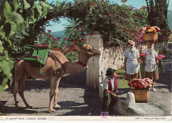 Postales: TENERIFE.CIRCULADA.ESCENA TIPICA.JOHN HINDE STUDIOS.