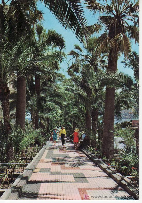 Postales: PUERTO DE LA CRUZ.TENERIFE.CIRCULADA.PASEO Y PALMERAL DE MARTIANEZ.