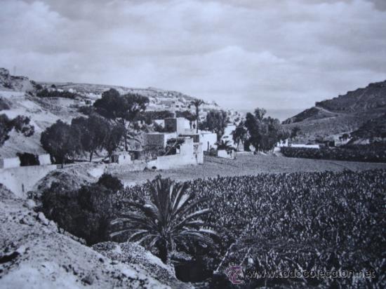 Postales: LAS PALMAS - Foto 1
