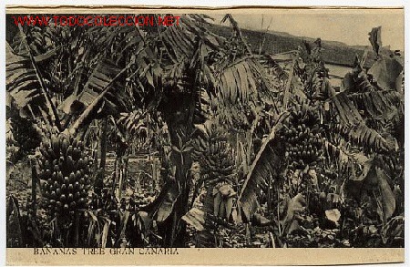 Postales: GRAN CANARIA - Foto 1