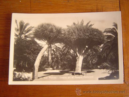 Postales: Postal de Las Palmas - Foto 1