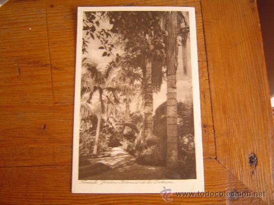Postales: Postal de Tenerife - Foto 1