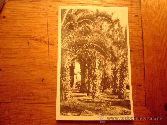 Postales: Postal de Tenerife - Foto 1