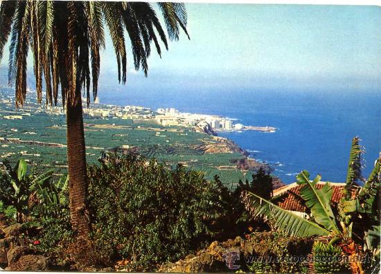 Cartoline: POME5 38003 Puerto de la Cruz ( TENERIFE )