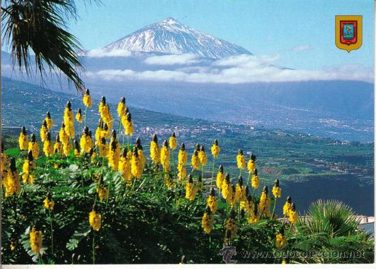 Postales: TENERIFE - EL TEIDE DESDE LA MATANZA - Foto 1