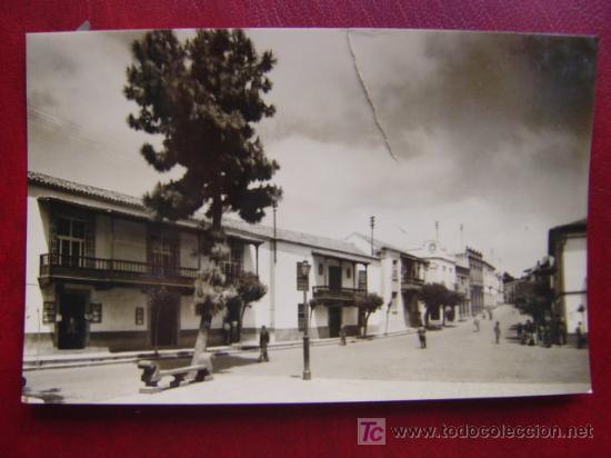 Postales: TEROR, LAS PALMAS - Foto 1