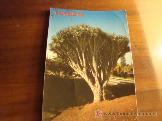Postales: tenerife (el drago) - Foto 1