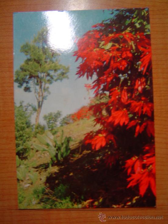Postales: POSTAL ISLAS CANARIAS RINCON TIPICO ESCRITA