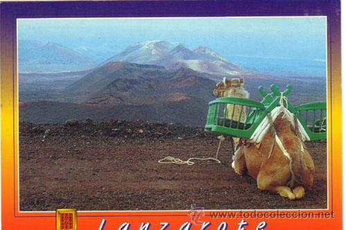 Postales: N&ordm; 9196 POSTAL ISLAS CANARIAS LANZAROTE - Foto 1
