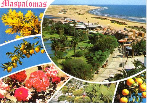 Postales: N&ordm; 5487 POSTAL GRAN CANARIA MASPALOMAS - Foto 1