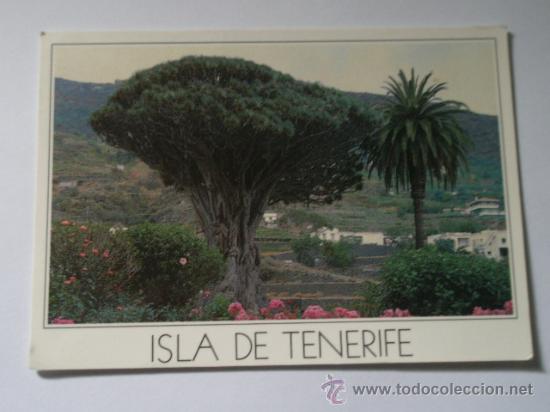 Postales: Postal de la Isla de Tenerife, circulada - Foto 1