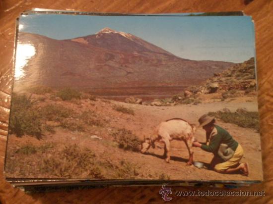 Postales: Postal escrita y circulada, Tenerife - Foto 1
