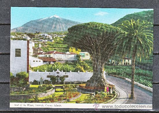 Postales: CANARIAS. ICOD DE LOS VINOS - Foto 1