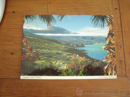 Postales: Postal de Tenerife. - Foto 1