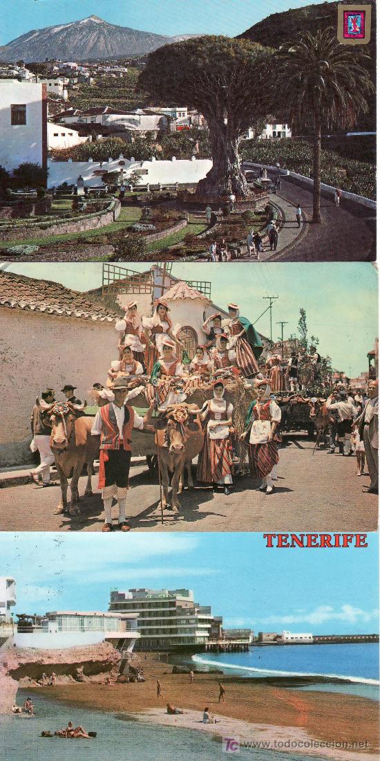 Postales: LOTE DE 3 POSTALES DE TENERIFE.DRAGO DE ICOD,TIPICA ROMERIA Y EL MEDANO,CIRCULADOS.