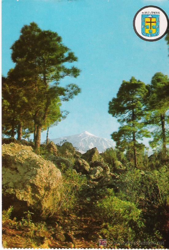 Postales: TENERIFE - Foto 1