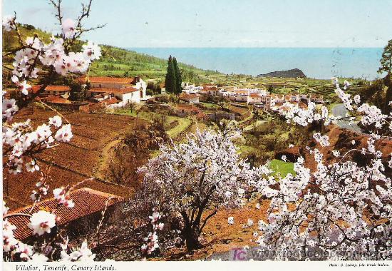 Postales: TENERIFE - Foto 1