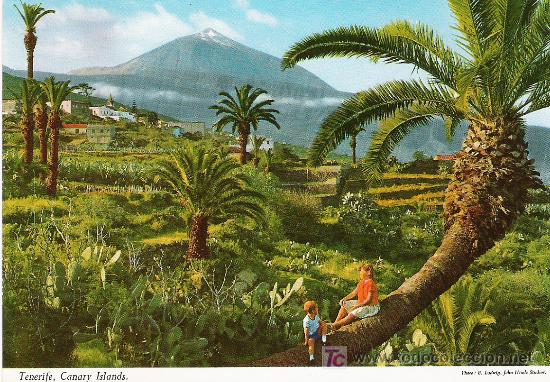 Postales: TENERIFE - Foto 1