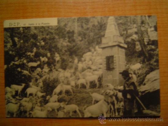 Postales: POSTAL DESIERTO DE LAS PALMAS N&ordm; 43 JUNTO A LA FUENTE SIN CIRCULAR
