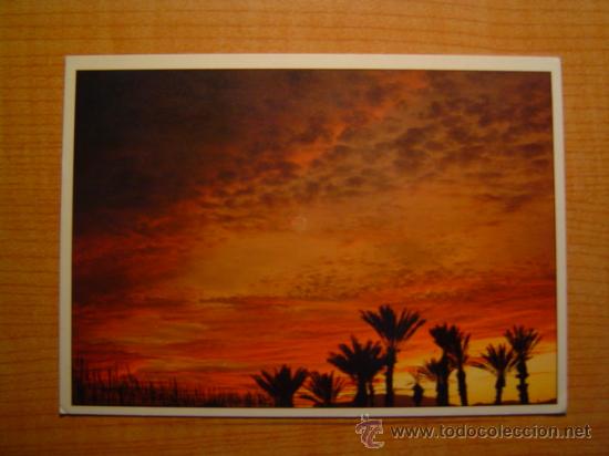 Postales: POSTAL ISLAS CANARIAS SIN CIRCULAR