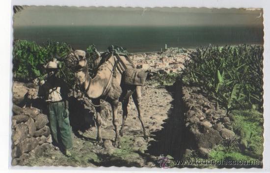 Postkarten: TARJETA POSTAL DE SANTA CRUZ DE TENERIFE RINCONES TIPICOS ISLAS CANARIAS