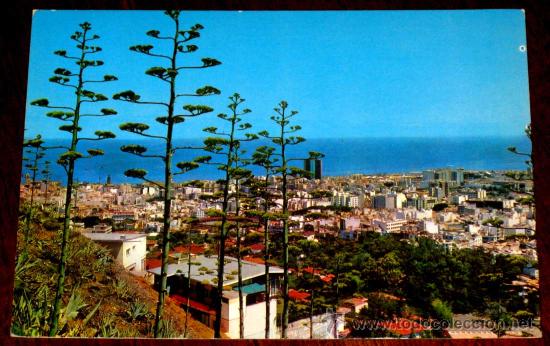 Postales: FOTO POSTAL DE SANTA CRUZ DE TENERIFE - ED. GASTEIZ - CIRCULADA.